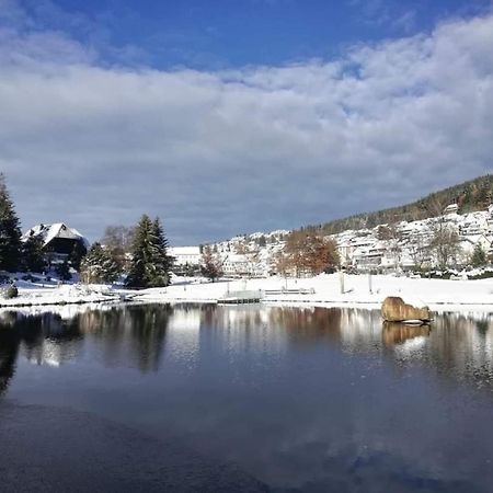 Appartamento Im Salzgassle Schonach im Schwarzwald Esterno foto