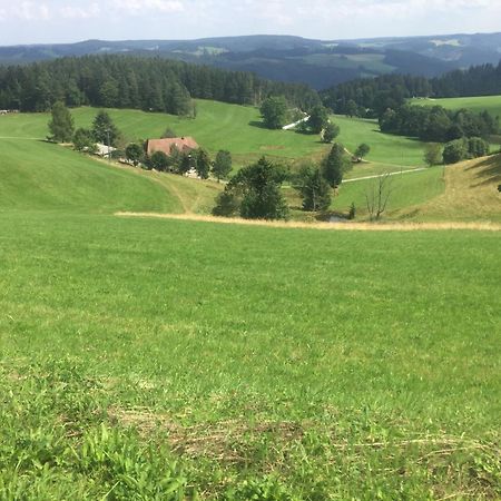 Appartamento Im Salzgassle Schonach im Schwarzwald Esterno foto