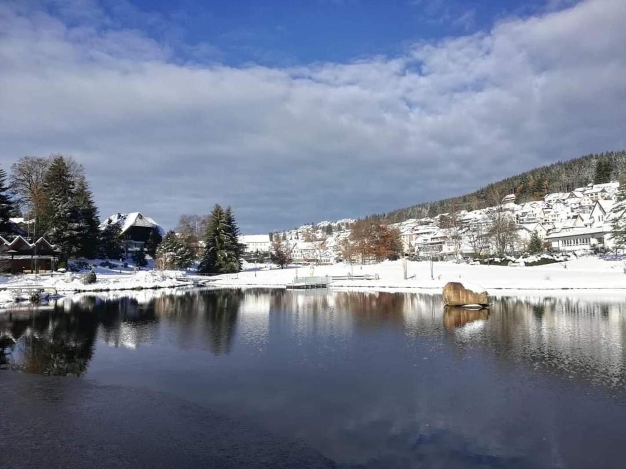 Appartamento Im Salzgassle Schonach im Schwarzwald Esterno foto