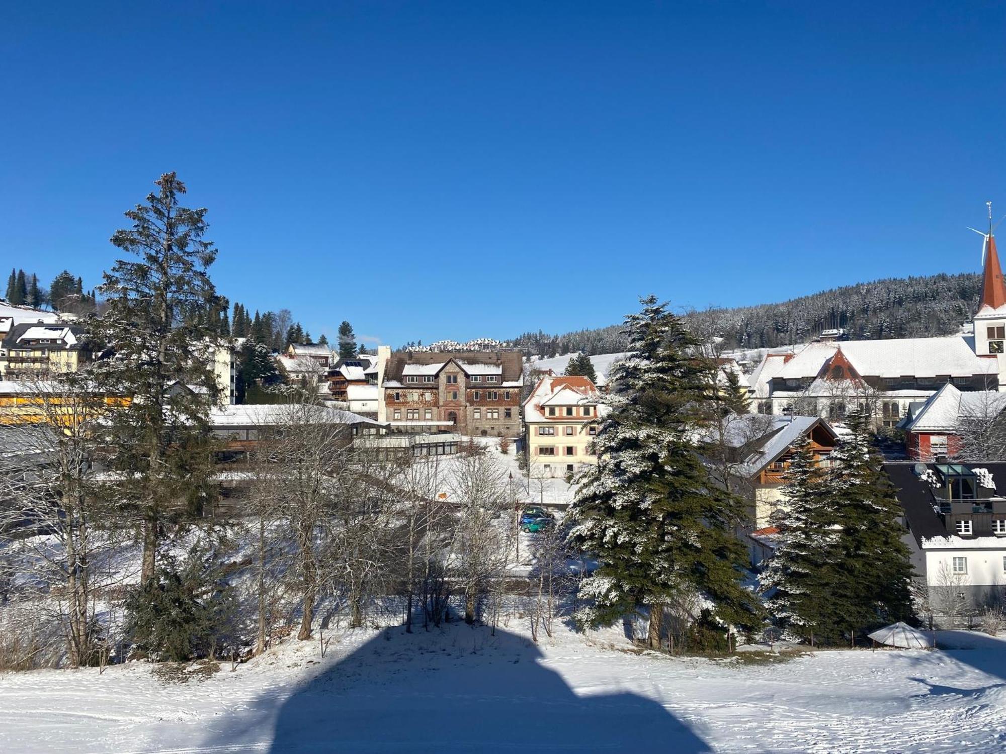 Appartamento Im Salzgassle Schonach im Schwarzwald Esterno foto
