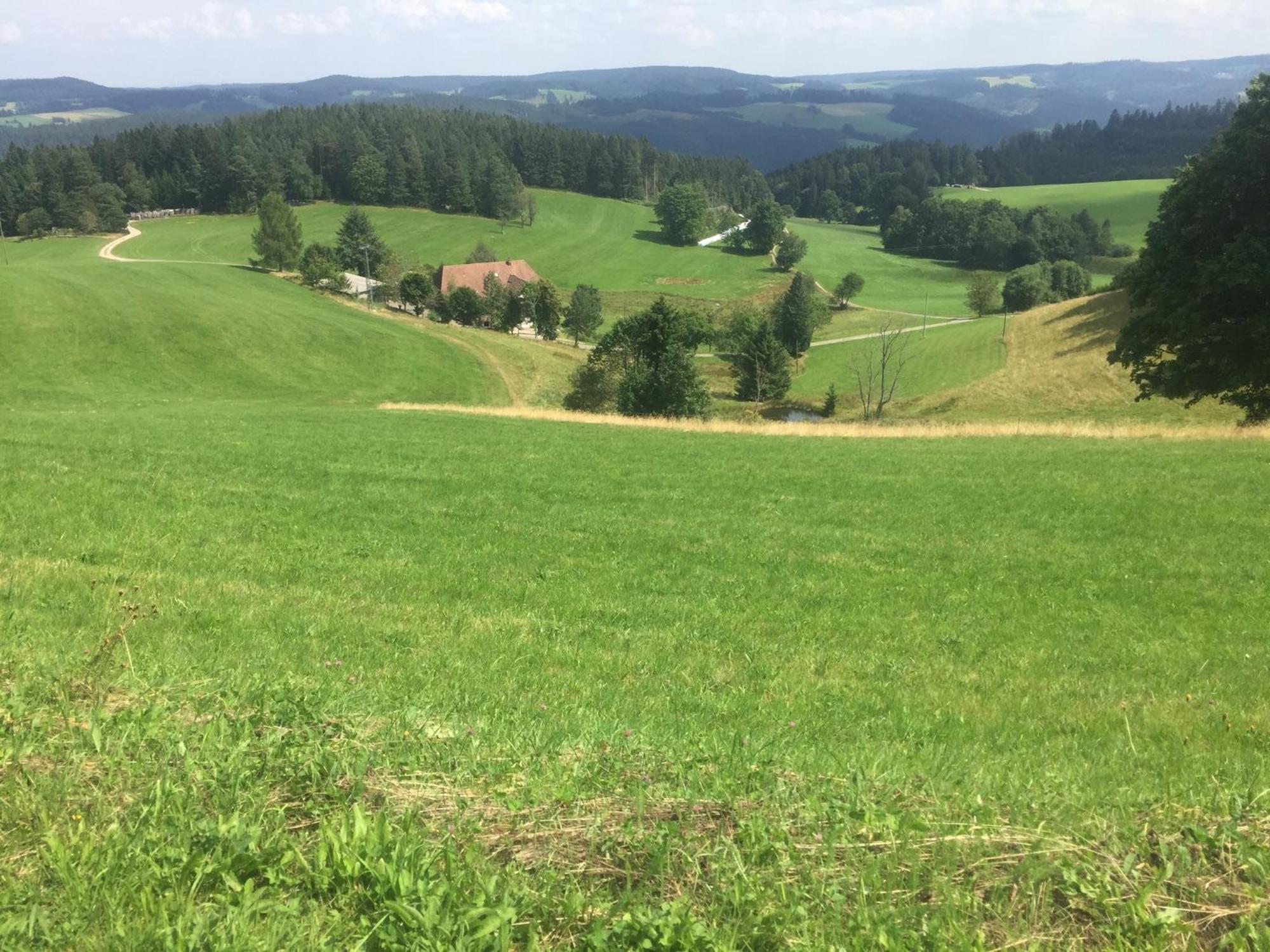 Appartamento Im Salzgassle Schonach im Schwarzwald Esterno foto